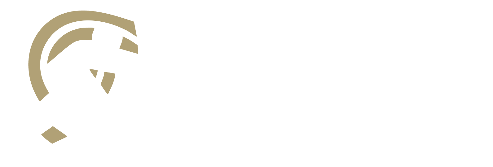 CSV Sports Management